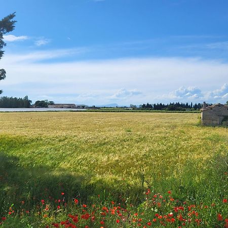 Maison de village avec accès piscine chauffée , spa, Nature , balades, vélo , découverte étang de l'or Candillargues Exterior foto